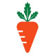 Carrot Logo Design