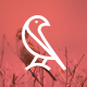 Bird Tech Consulting Logo