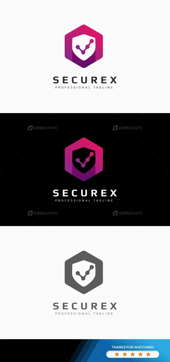 Secure Shield Check Logo