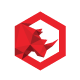 Rhino Hexagonal Logo