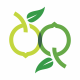 Lime Eco Logo
