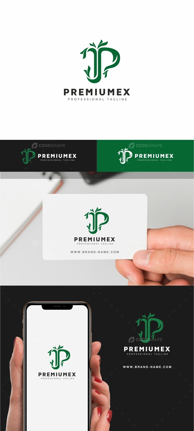 Premium P Letter Logo