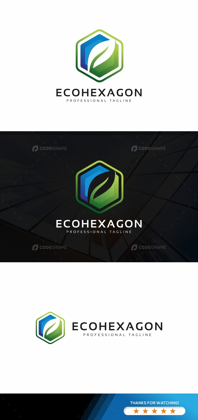 Eco Hexagon Logo