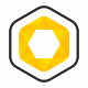 Hexagon Polygon Logo