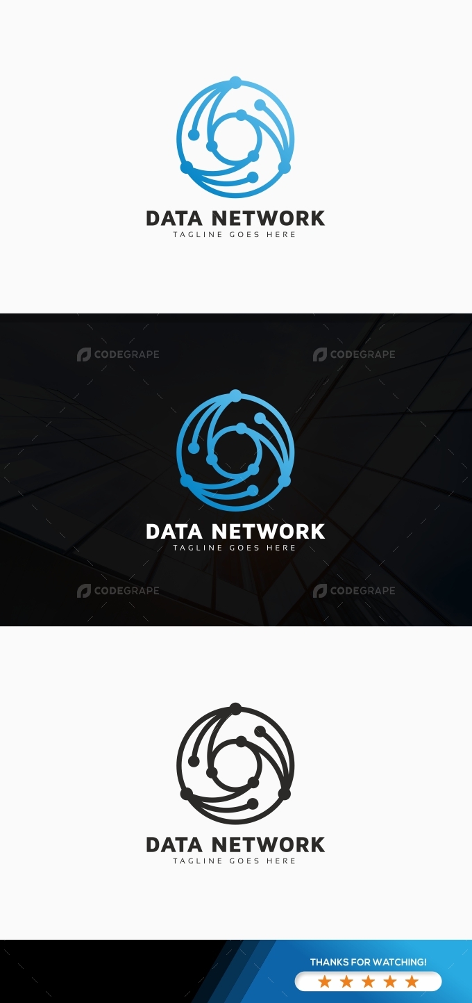 Data Network Logo