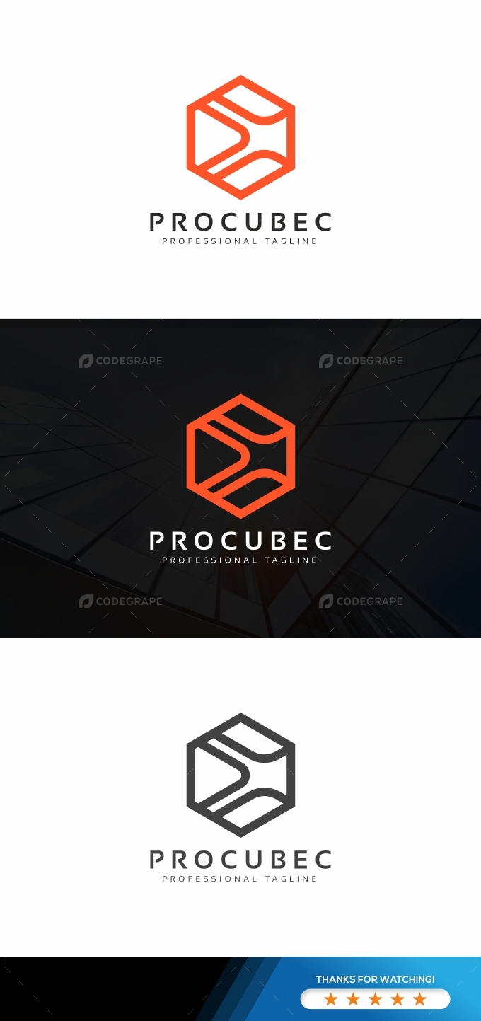 Pro Cube Logo