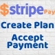 Stripe Pay - Create Dynamic Plan and Accept Payments