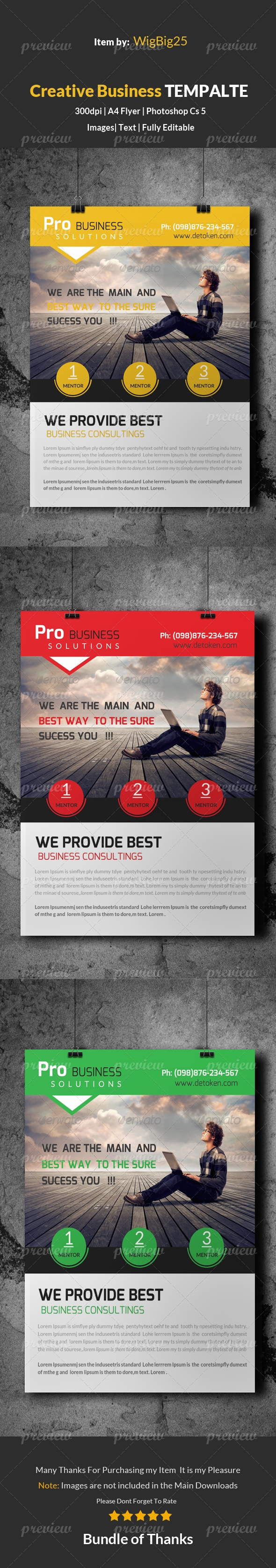 Corporate Business Solution Flyer Template
