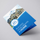 Real Estate Bi-Fold Brochure