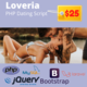Loveria: Easy PHP Dating Site Script