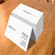 Simple Professional Business Card