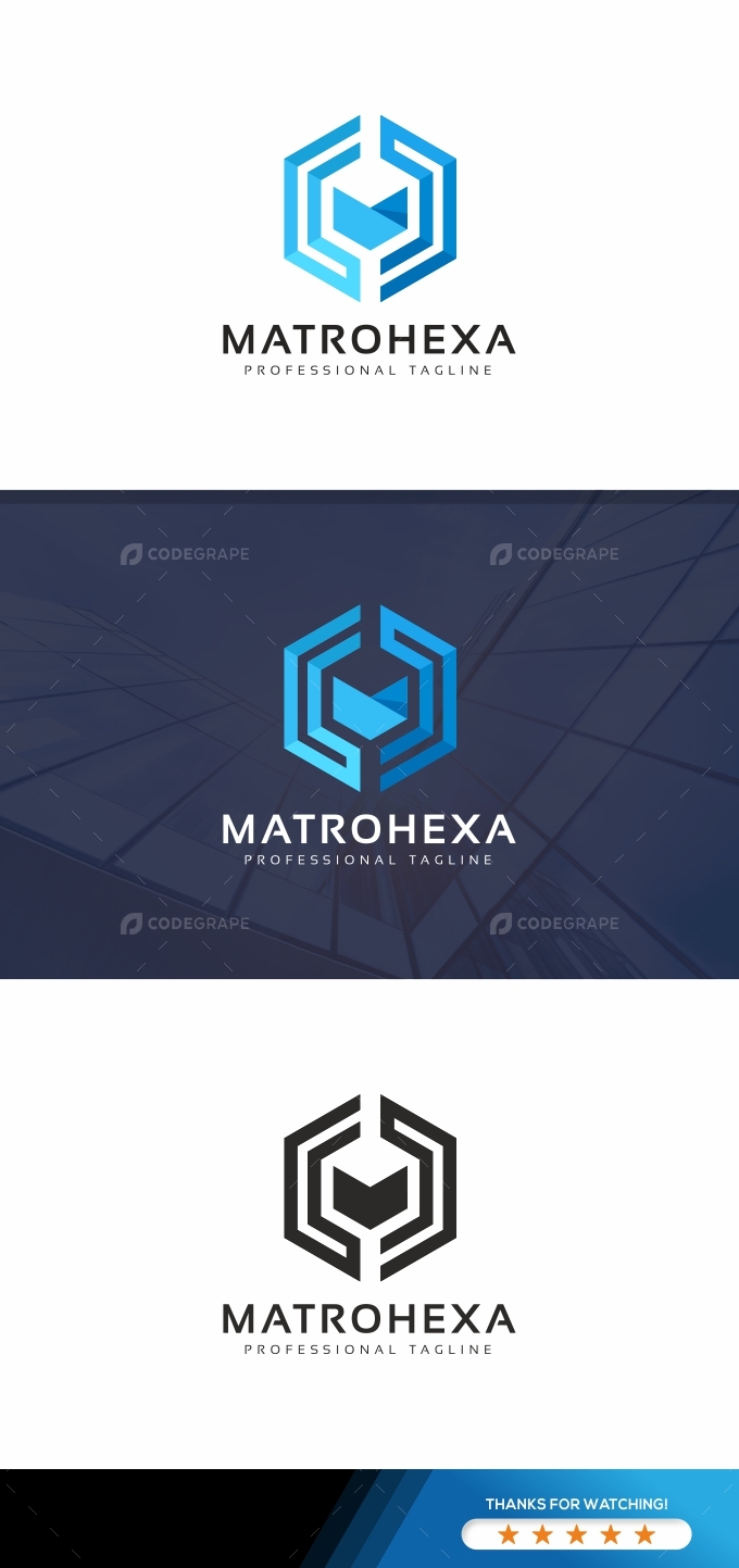 M Letter Hexagon Logo