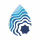 Drop Wave Logo