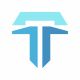 Termigor T Letter Logo