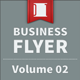 Business Flyer - Volume 02