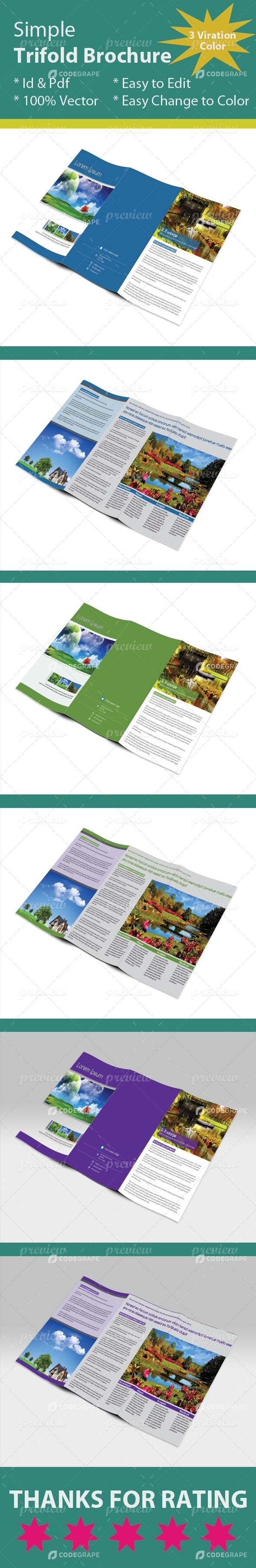 Simple Trifold Brochure
