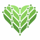 Heart Health Green Logo