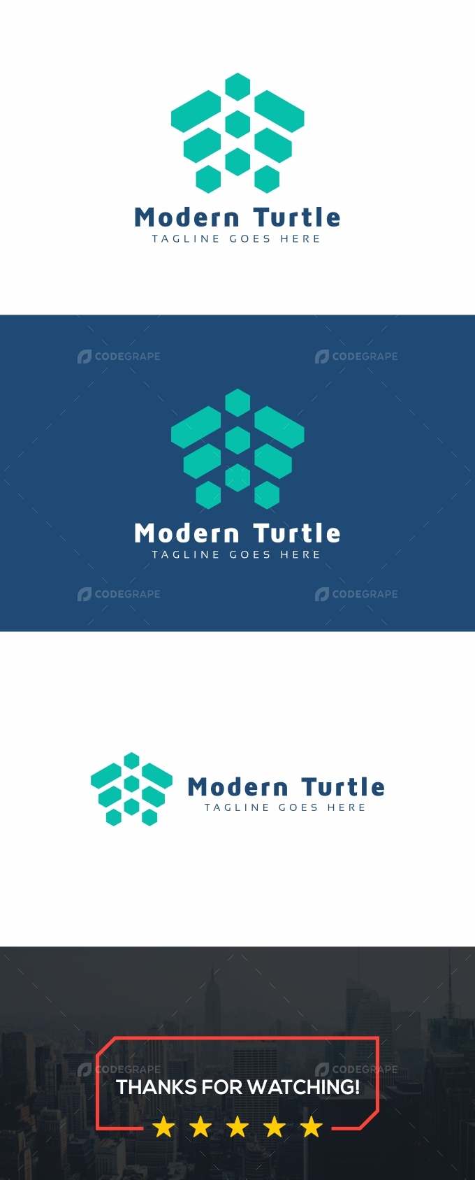 Modern Turtle Logo