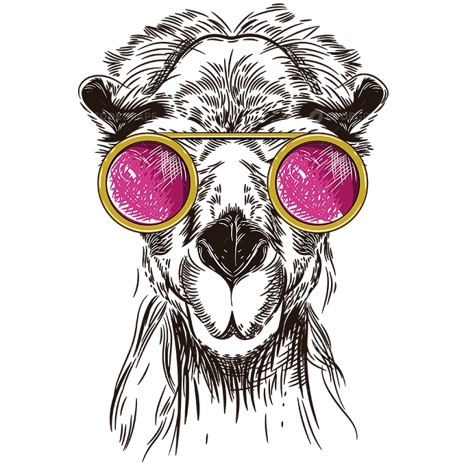 Llama Lenon Vector Illustration