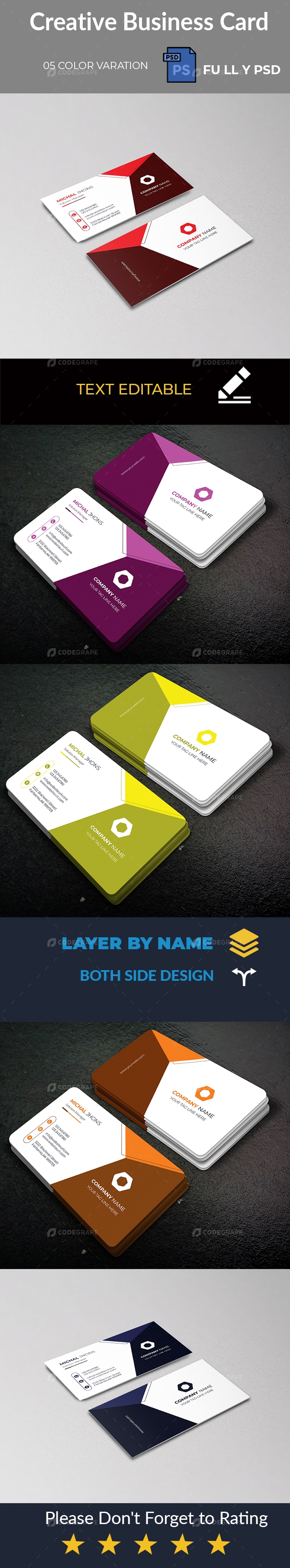 Simple Professional  Business Card