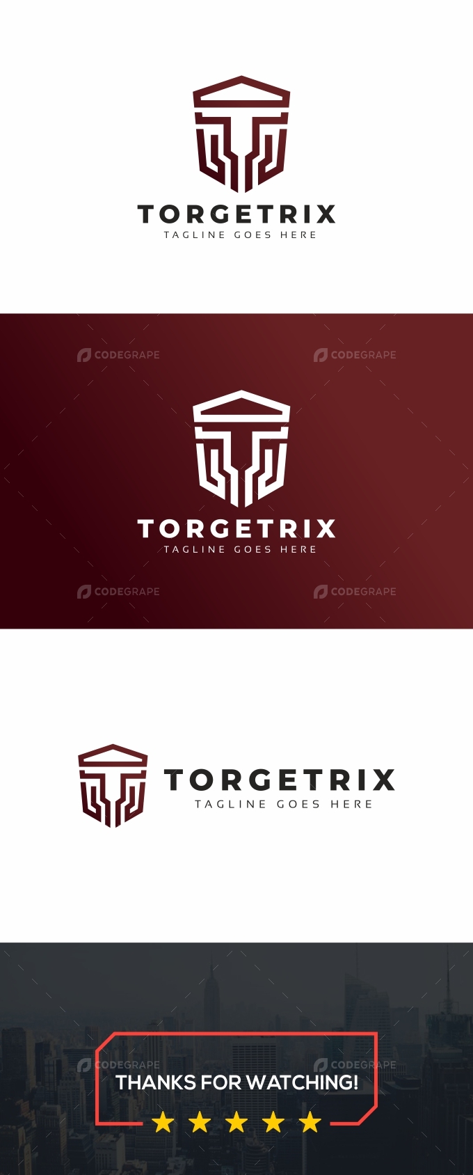 Torgetrix T Letter Logo
