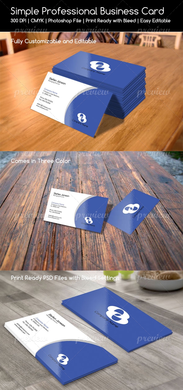 Simple Professional Business Card V2