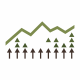 Pine Forest Logo