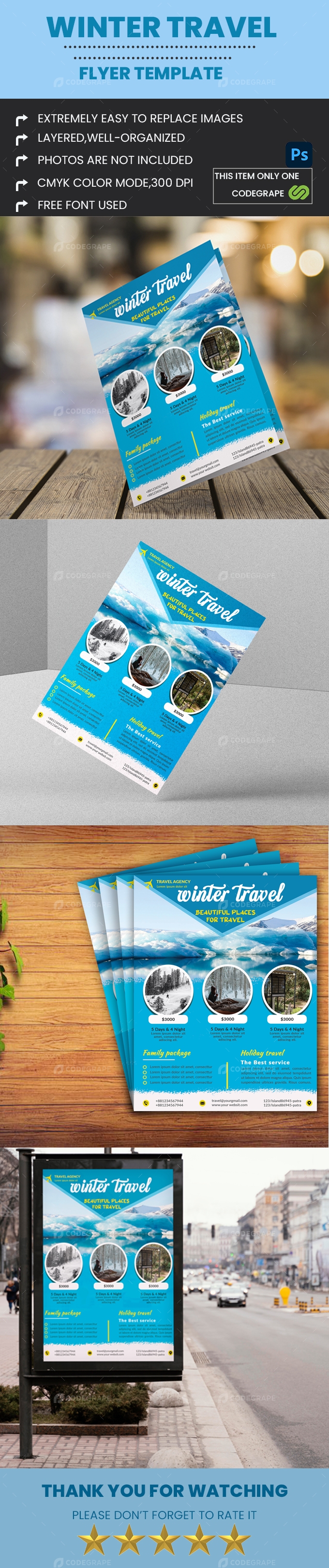 Winter Travel Flyer