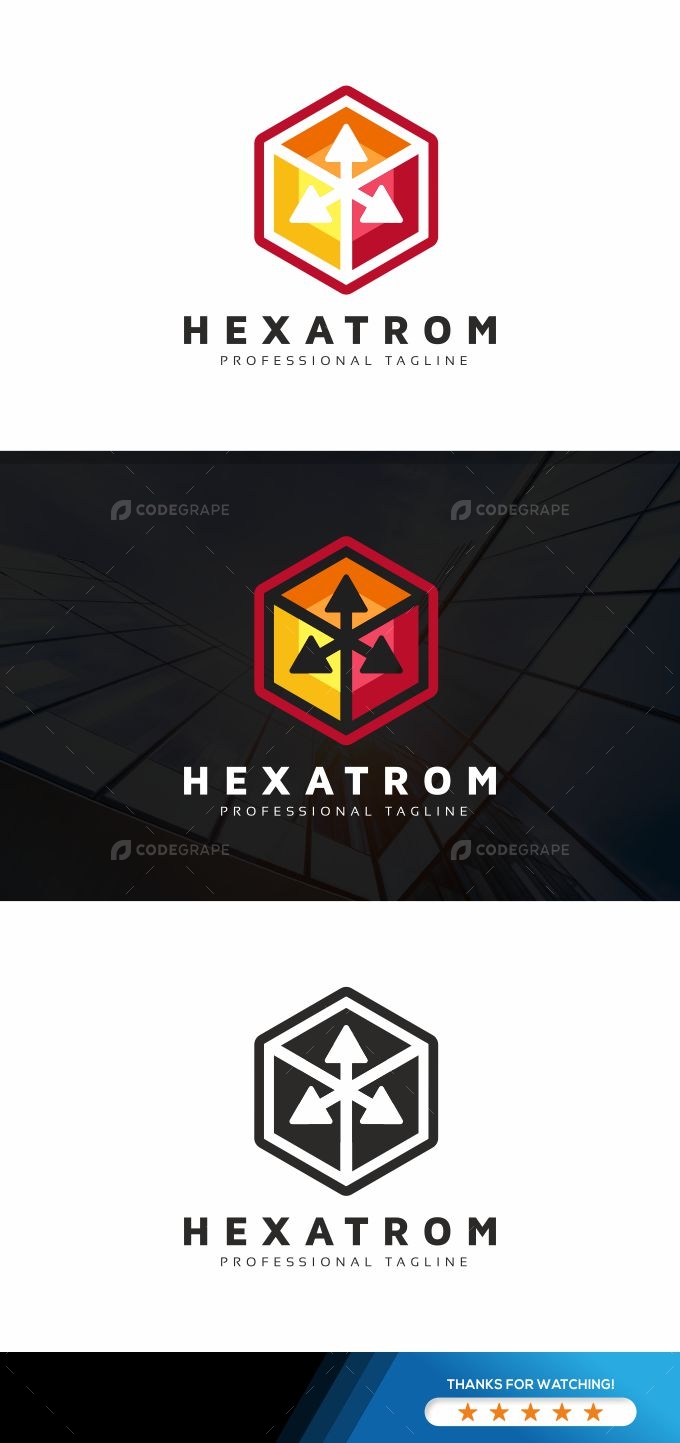 Hexagon Digital Arrows Logo