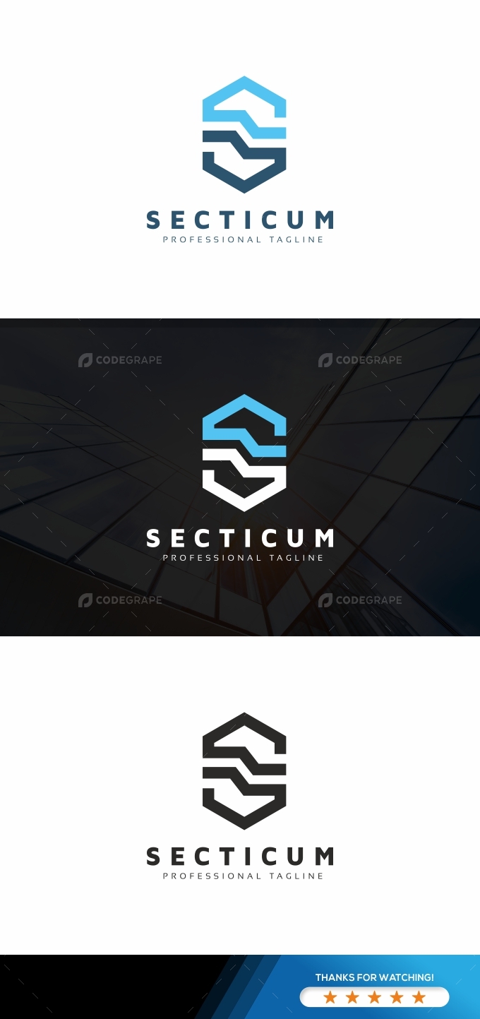 Secticum S Letter Logo