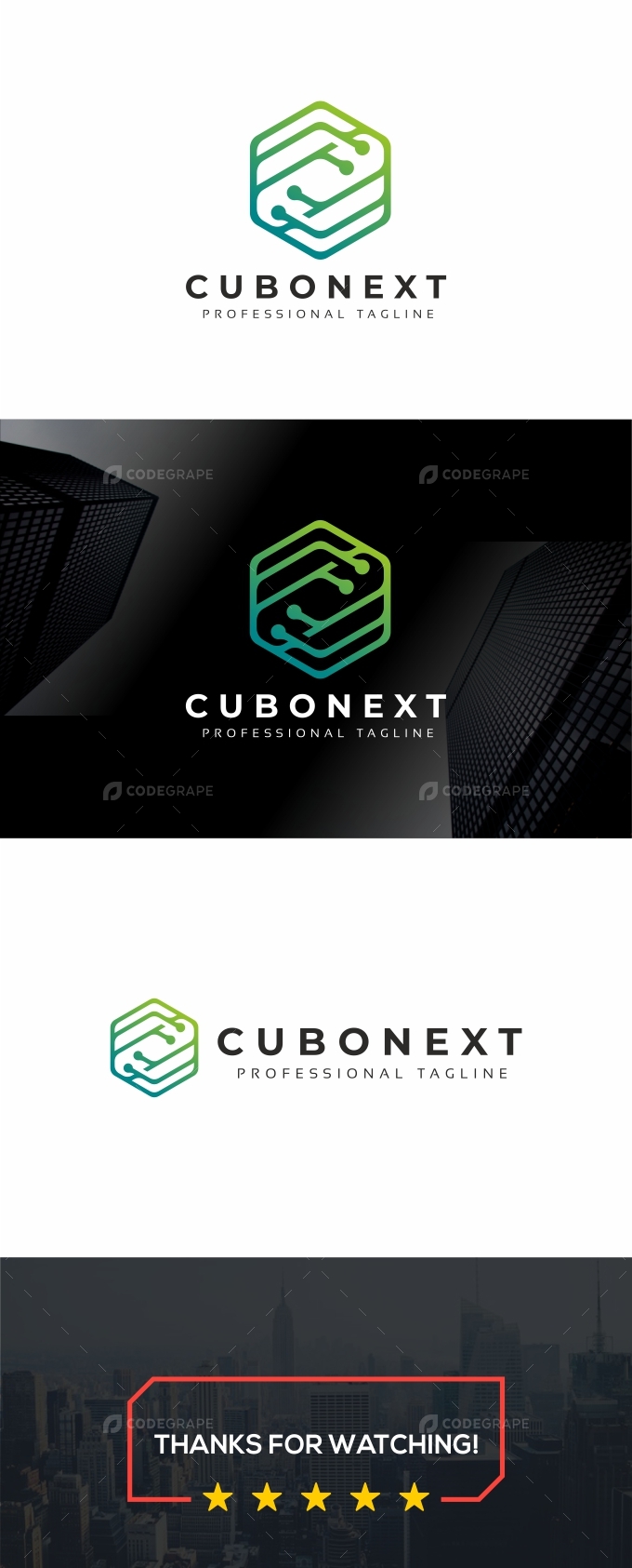 Cube Hexagon Tech Logo