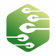 Nature Hexagon Tech Logo