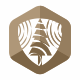 Timber Shield Wood Logo