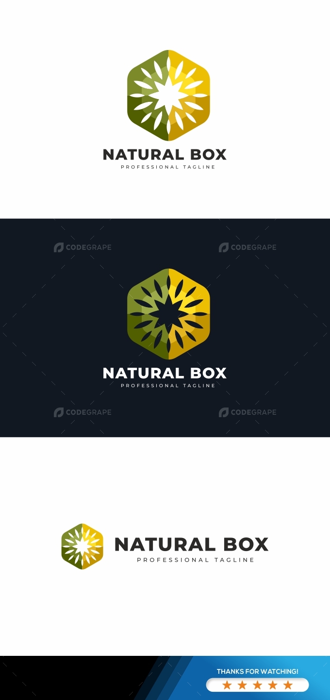 Natural Box Logo