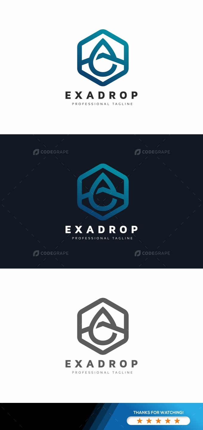 E Drop Hexagon Logo