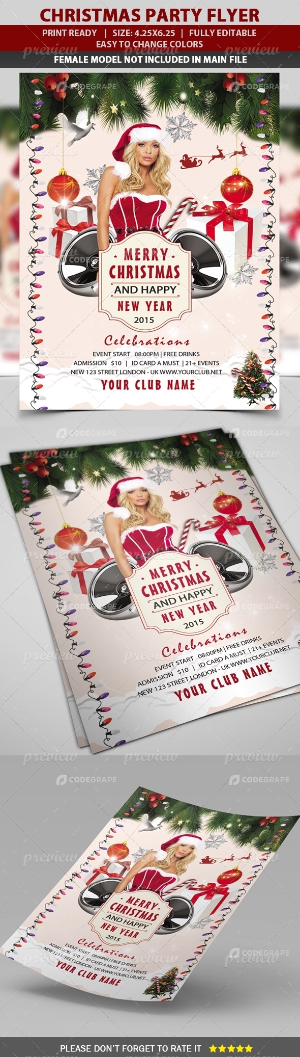 Christmas / New Year Party Flyer