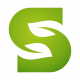 Synergy Green S Letter Logo