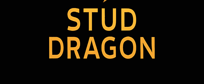 studziddi