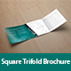 Square Trifold Brochure