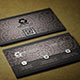 Fashionable Business Card Vol-1.0