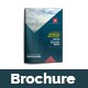 Multipurpose Business Brochure V.1