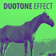 Duotone Effect Photoshop