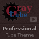 WpTubeGray - WordPress Video Tube Theme