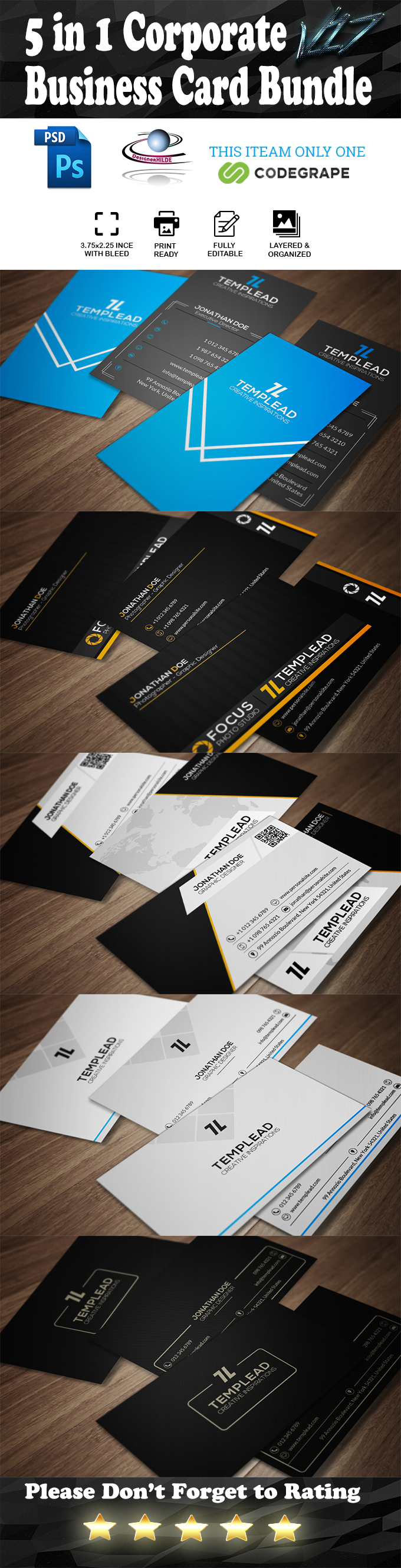 5 in 1 Corporate Business Card Bundle V. 17