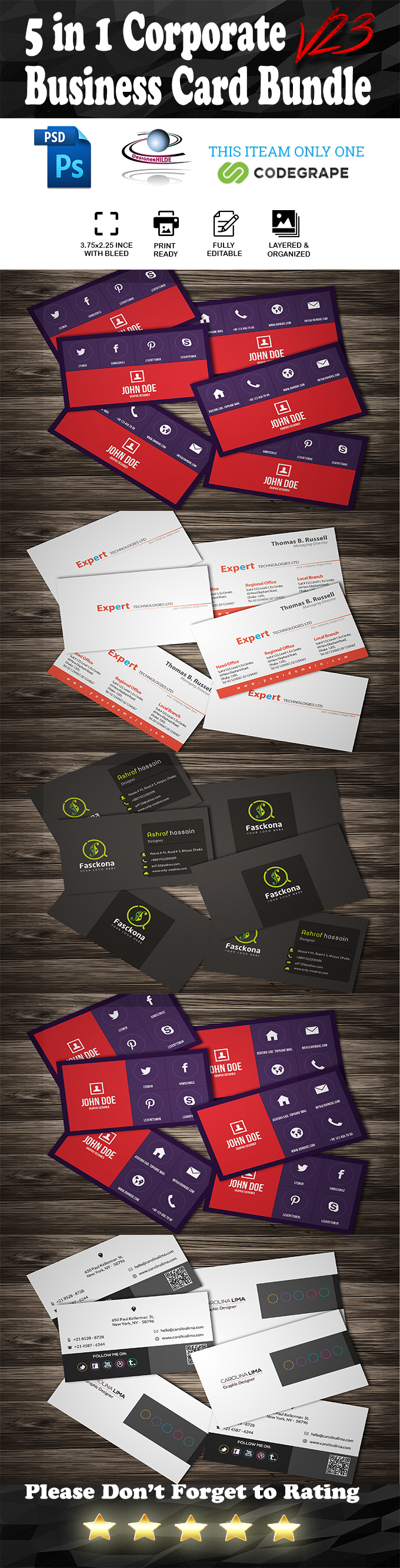 5 in 1 Corporate Business Card Bundle V. 23