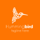 Hummingbird Logo Design