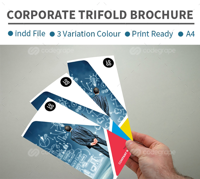 The brochure is in a classic format, but with a creative design and logo display.